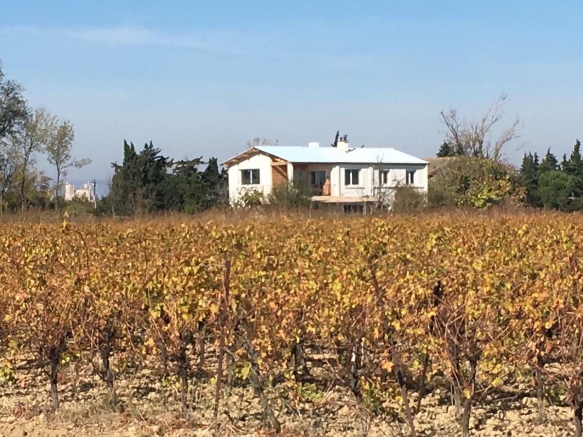 Vila Domaine Limouzy Narbonne Exteriér fotografie
